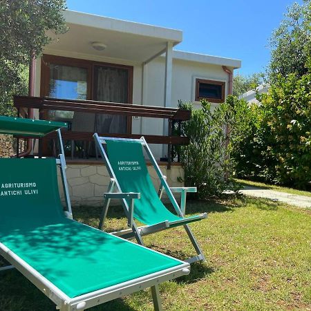 Agriturismo Antichi Ulivi ماتيناتا المظهر الخارجي الصورة