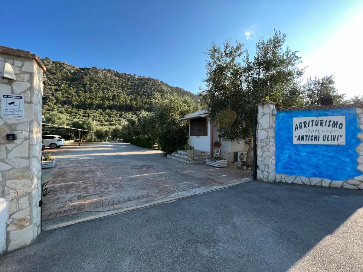 Agriturismo Antichi Ulivi ماتيناتا المظهر الخارجي الصورة