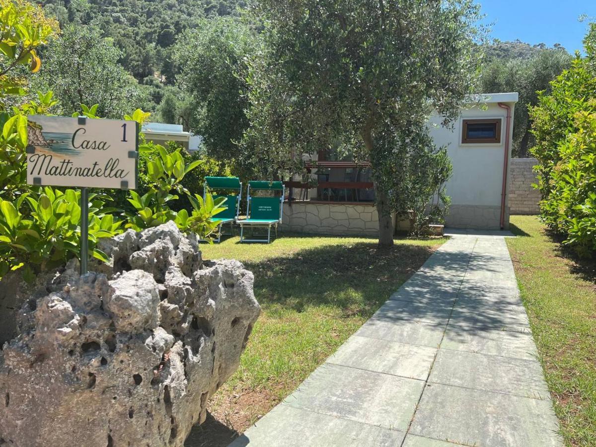 Agriturismo Antichi Ulivi ماتيناتا المظهر الخارجي الصورة
