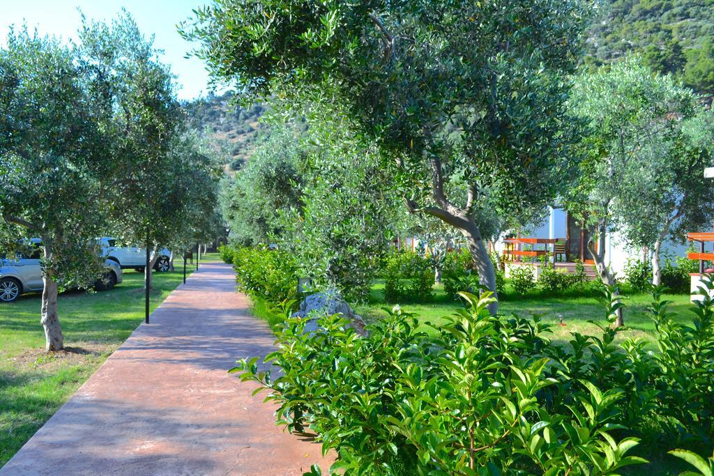 فيلا ماتيناتافي Agriturismo Antichi Ulivi المظهر الخارجي الصورة