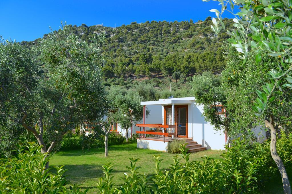 Agriturismo Antichi Ulivi ماتيناتا المظهر الخارجي الصورة